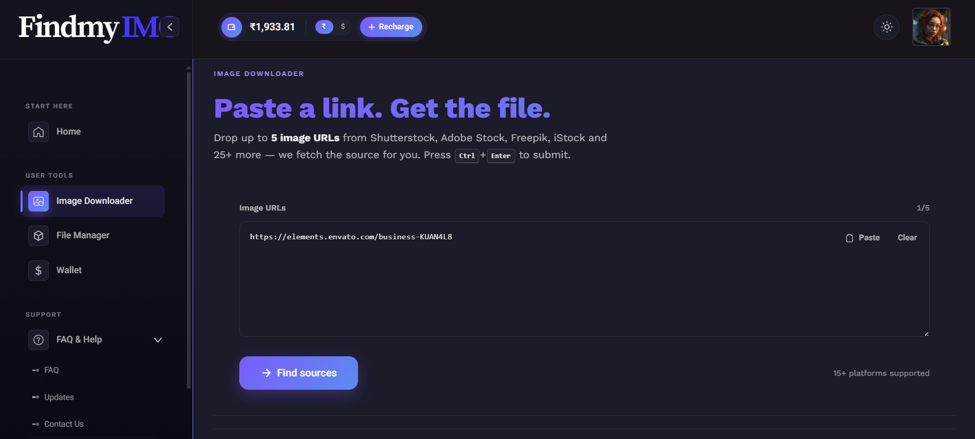 FindMyImg downloader